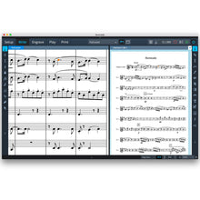 Steinberg Dorico Notation and Scoring Software