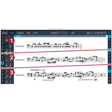 Steinberg Dorico Notation and Scoring Software