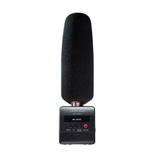 Tascam DR-10SG DSLR Mount Portable Recorder with Shotgun Microphone