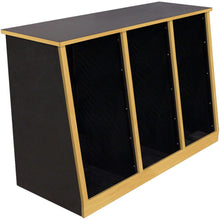 Sound Construction R20-3 SL Triple Bay Slanted Studio Rack (20 Space)