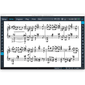 Steinberg Dorico Notation and Scoring Software