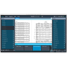 Steinberg Dorico Notation and Scoring Software