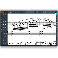 Steinberg Dorico Notation and Scoring Software