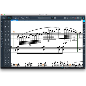 Steinberg Dorico Notation and Scoring Software