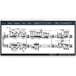 Steinberg Dorico Notation and Scoring Software