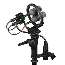 Rycote 016906 Connbox 6 for Schoeps Stereo M/S CCM-L Series in WS 9 Kit
