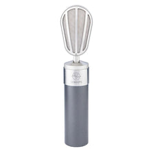 Schoeps V4 UG Large Diaphragm Cardioid Condenser Microphone (Gray)