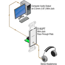 RDL D-MJPT Mini-Jack Pass-Through Plate